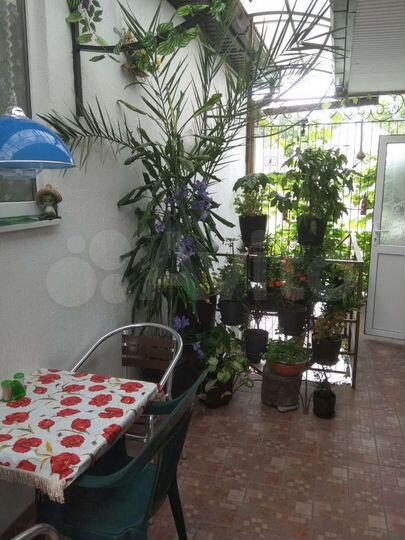 Комната 15 м² в 1-к., 1/2 эт.