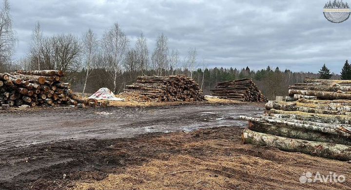 Дрова колотые в навал