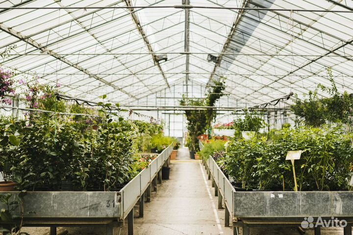 Инвестиции в готовый бизнес