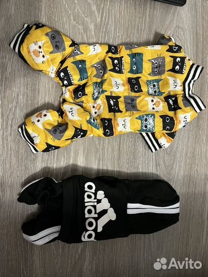 Товары для собак