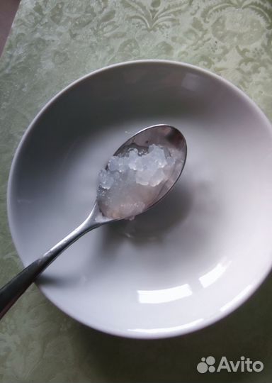 Индийский морской рис, чайный гриб джун, камбуча