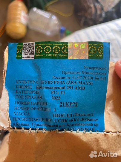 Кукуруза посевная