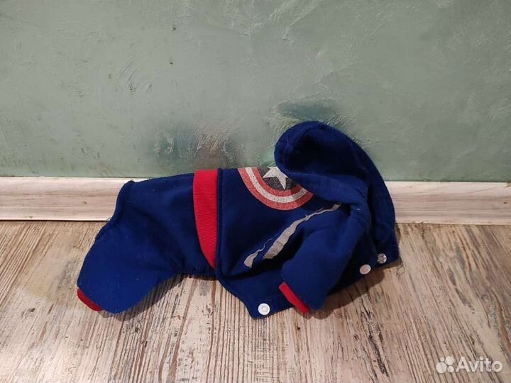 Босоножки и комбезы для собак