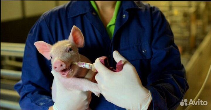 Оператор по уходу за животными(Вахта)