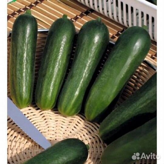 Бэби Мини F1 открытый /закрытый грунт. Семена