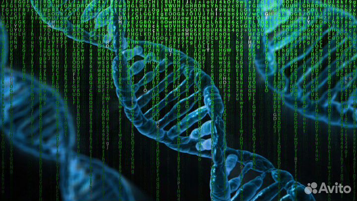 Биология. Обучение и курсы