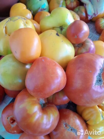 Овощи,зелень