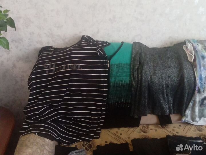 Отдам бесплатно