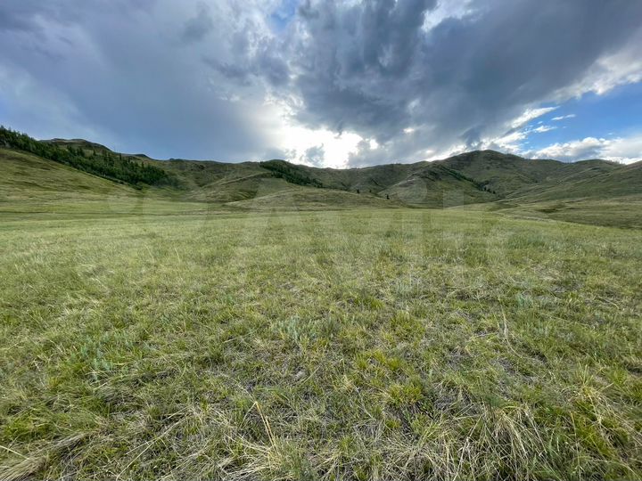 Участок 11 га (СНТ, ДНП)