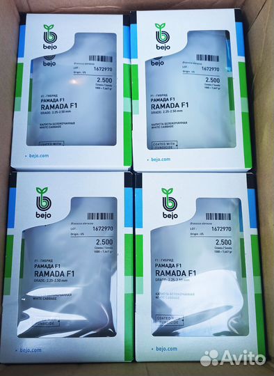 Семена капусты Рамада