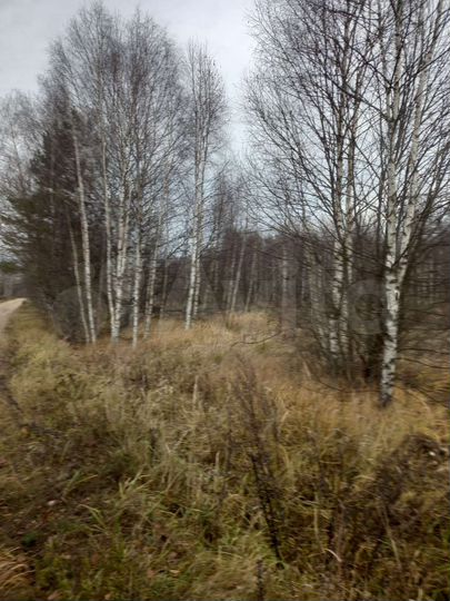 Участок 4,6 га (СНТ, ДНП)