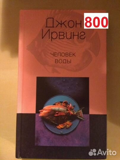 Ирвинг Джон. Человек воды