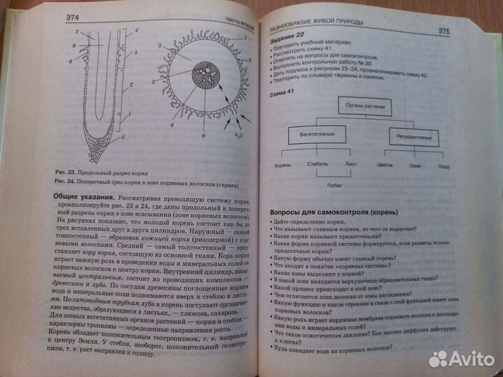Биология справочник (егэ) Богданова, Солодова