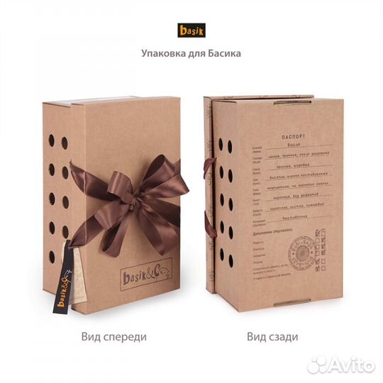 Мягкая игрушка «Басик»