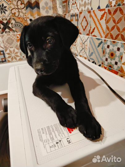 Малышка ждет тебя