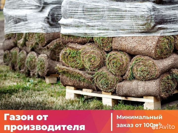 Укладка газона эконом