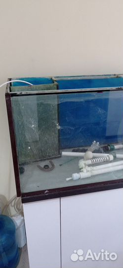 Аквариумистика