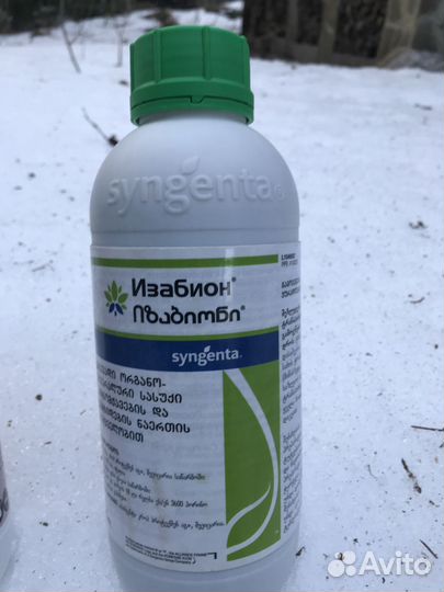 Доктор Харвест Форте