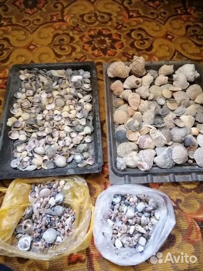 Ракушки для аквариума, для поделок, для украшений