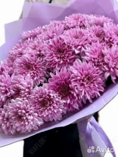 Хризантема букет