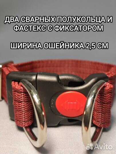 Ошейник для собак от Bax Dog