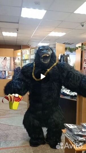 Аниматор горилла-Роки
