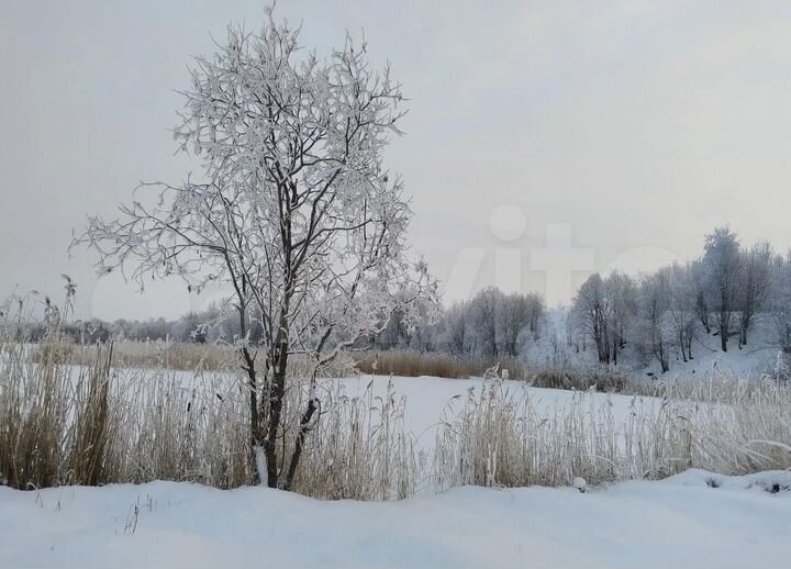 Участок 10 сот. (ИЖС)