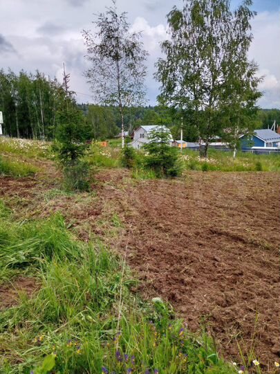 Участок 12 сот. (СНТ, ДНП)