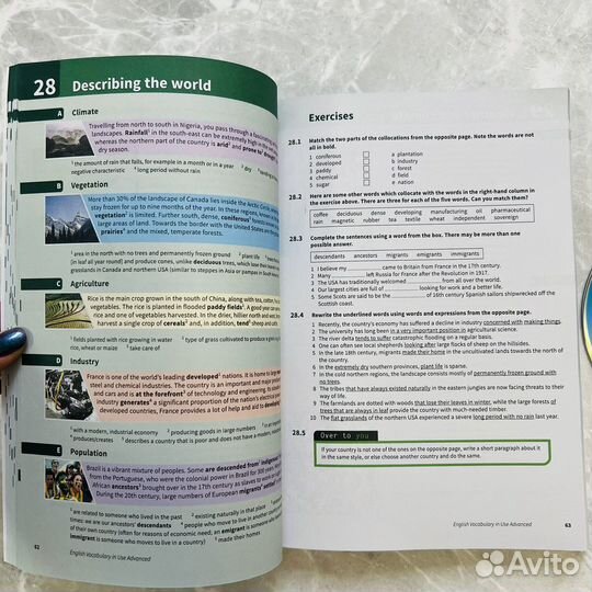 English vocabulary in use advanced новая книга