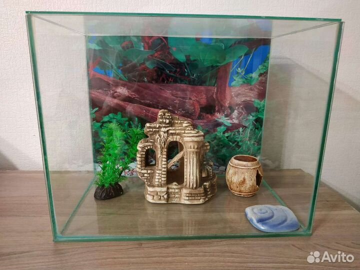 Аквариум