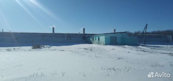 Ферма и сопутствующие строения