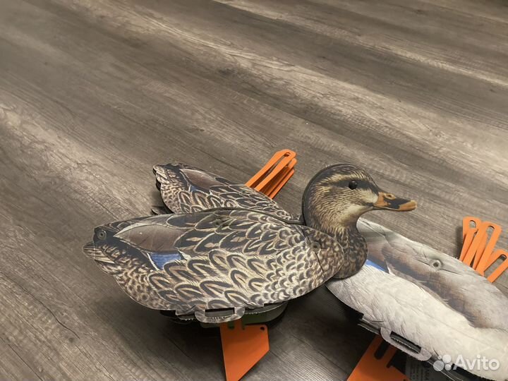 Чучела уток nra fud