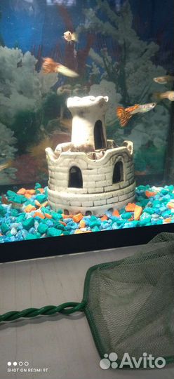 Аквариум