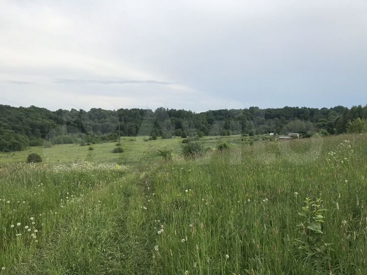 Участок 3,2 га (СНТ, ДНП)