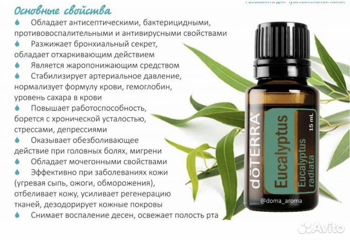 Эвкалипт эфирное масло Дотерра