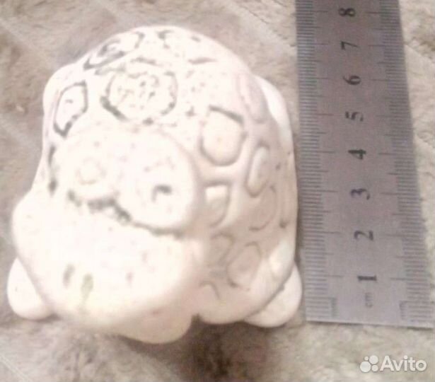 Принадлежности для аквариума