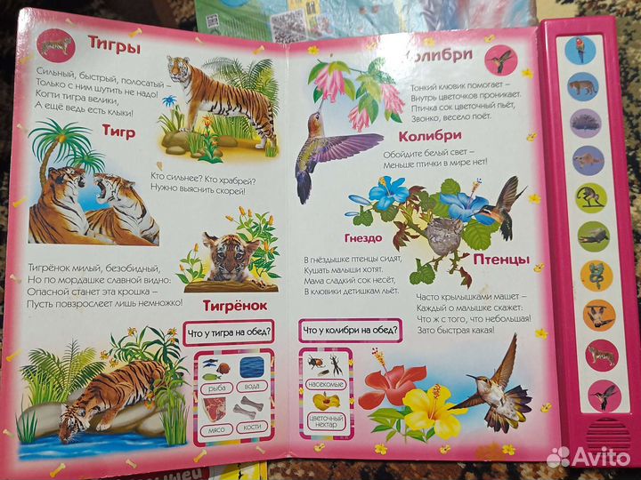 Музыкальная книга