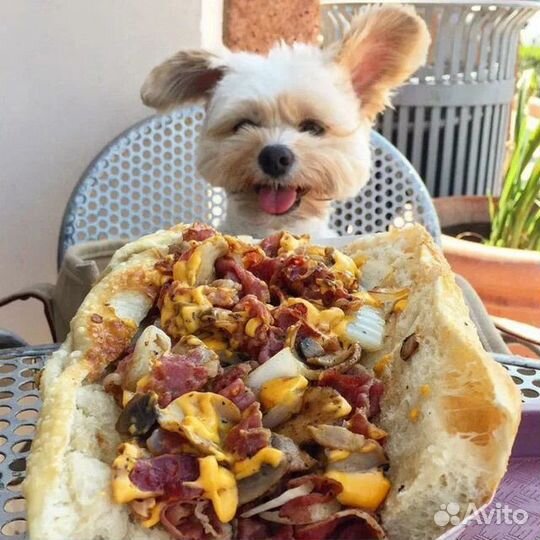 Джерки говяжьи для собак