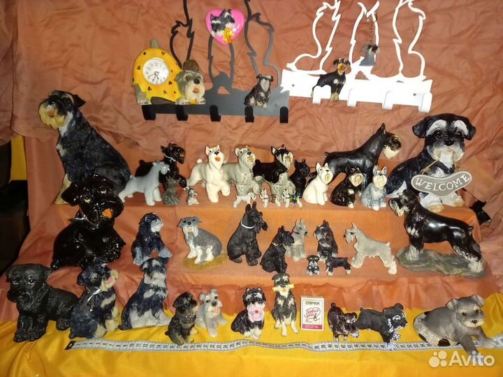 Коллекция шнауцеров ризен, миттель, цверг