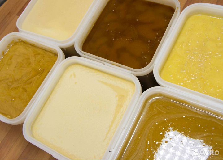 2024 Мёд натуральный из Алтая опт