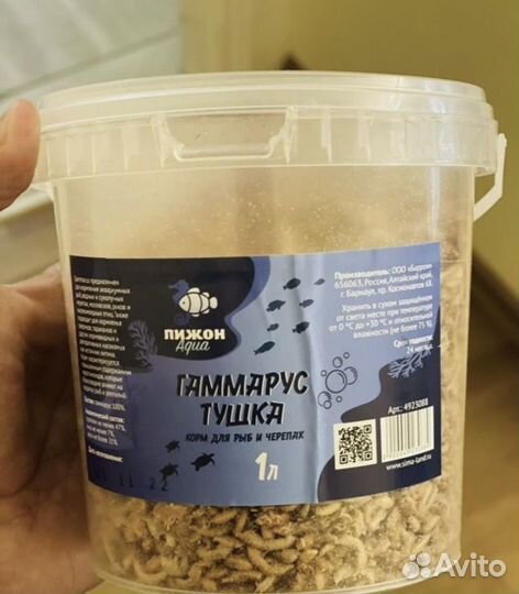Черепаха в добрые руки