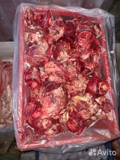 Мясо говядина для собак