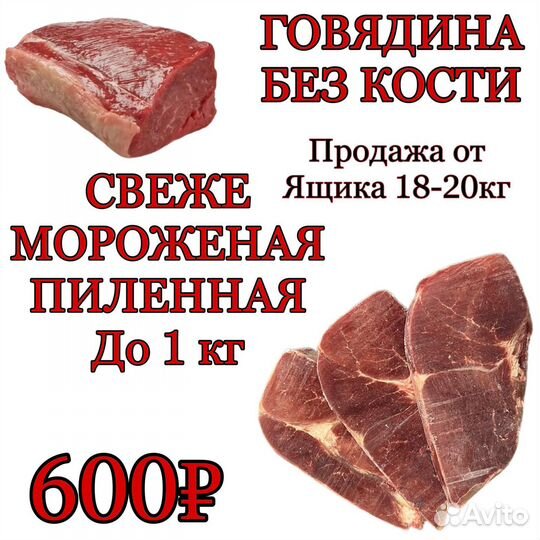 Мясо говядина оптом