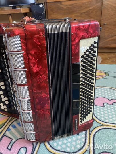 Баян weltmeister grandina