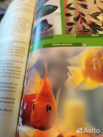 Новейшая энциклопедия аквариумиста