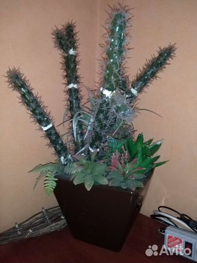 Большой кактус редкий искусственный 60см