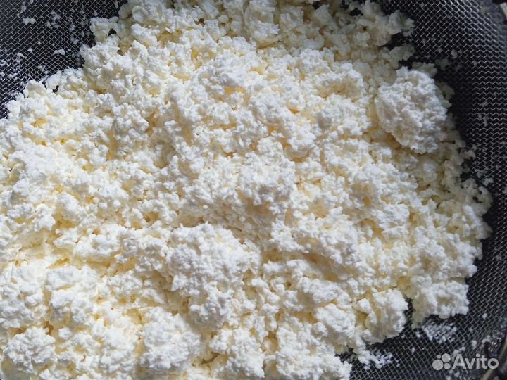 Домашний творог оптом