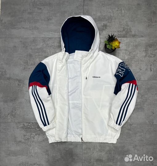 Вeтpoвкa мужская