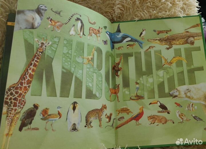 Энциклопедия