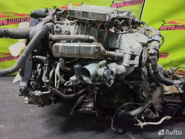 Двигатель (двс) 2KD-FTV toyota dyna